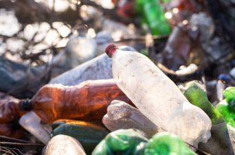 What Is the True Cost of Environmental Destruction?